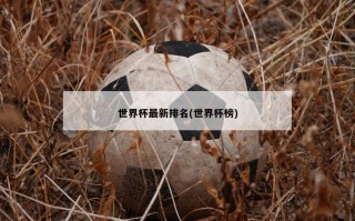 世界杯最新排名(世界杯榜)