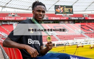 林书豪nba(林书豪NBA数据)