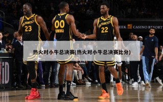 热火对小牛总决赛(热火对小牛总决赛比分)