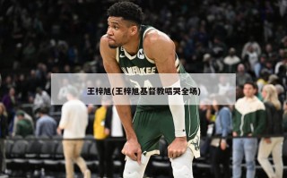 王梓旭(王梓旭基督教唱哭全场)