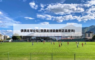 偶偶足球论坛(偶偶足球装备网正品查询)