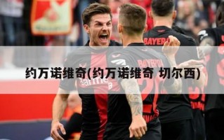 约万诺维奇(约万诺维奇 切尔西)