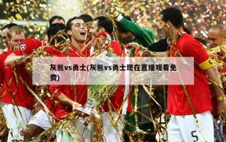 灰熊vs勇士(灰熊vs勇士现在直播观看免费)