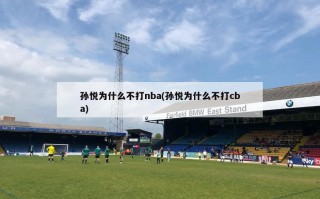 孙悦为什么不打nba(孙悦为什么不打cba)