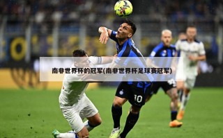 南非世界杯的冠军(南非世界杯足球赛冠军)