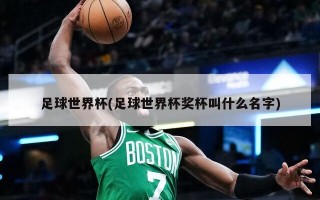 足球世界杯(足球世界杯奖杯叫什么名字)