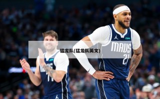 猛龙队(猛龙队英文)