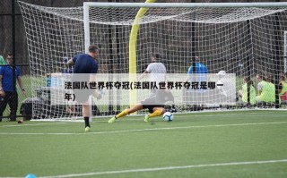 法国队世界杯夺冠(法国队世界杯夺冠是哪一年)