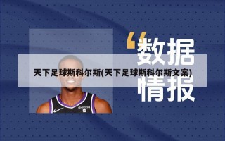 天下足球斯科尔斯(天下足球斯科尔斯文案)