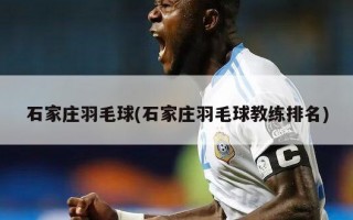 石家庄羽毛球(石家庄羽毛球教练排名)
