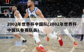 2002年世界杯中国队(2002年世界杯中国队参赛队员)
