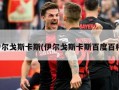 伊尔戈斯卡斯(伊尔戈斯卡斯百度百科)