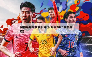 阿根廷甲级联赛积分榜(阿甲2025赛季赛程)