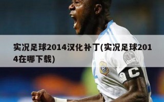 实况足球2014汉化补丁(实况足球2014在哪下载)
