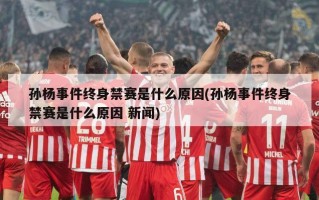 孙杨事件终身禁赛是什么原因(孙杨事件终身禁赛是什么原因 新闻)