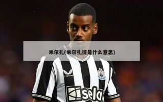 米尔扎(米尔扎提是什么意思)