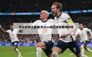 热火对骑士直播(热火vs骑士冲进赛场的球迷)