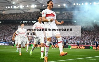 2003年女足世界杯(2003年女足世界杯决赛)