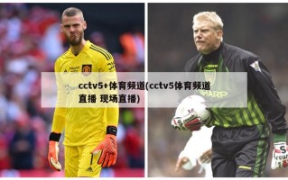 cctv5+体育频道(cctv5体育频道直播 现场直播)