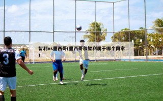 智利vs墨西哥(墨西哥和智利属于哪个国家)