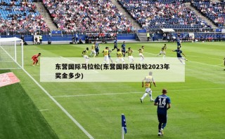 东营国际马拉松(东营国际马拉松2023年奖金多少)