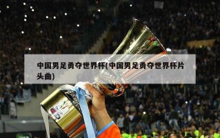 中国男足勇夺世界杯(中国男足勇夺世界杯片头曲)