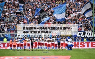 名古屋鲸八vs冈山绿雉直播(名古屋鲸八vs冈山绿雉比赛中断原因)