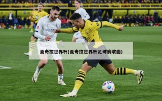 夏奇拉世界杯(夏奇拉世界杯足球赛歌曲)