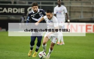 cba李根(cba李根在哪个球队)