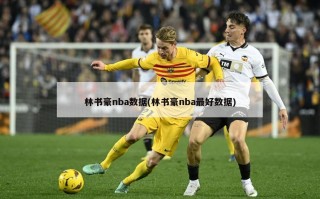 林书豪nba数据(林书豪nba最好数据)