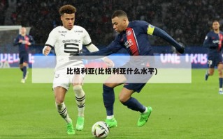 比格利亚(比格利亚什么水平)
