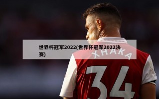 世界杯冠军2022(世界杯冠军2022决赛)