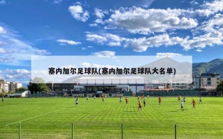 塞内加尔足球队(塞内加尔足球队大名单)