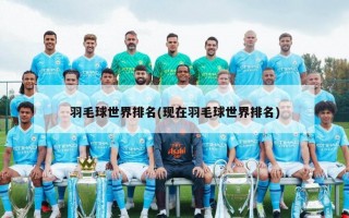 羽毛球世界排名(现在羽毛球世界排名)