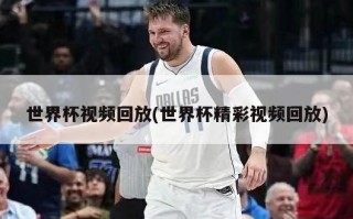 世界杯视频回放(世界杯精彩视频回放)