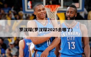 罗汉琛(罗汉琛2025去哪了)