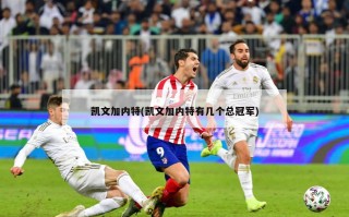 凯文加内特(凯文加内特有几个总冠军)