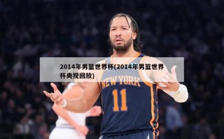 2014年男篮世界杯(2014年男篮世界杯央视回放)