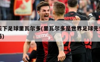 天下足球里瓦尔多(里瓦尔多是世界足球先生吗)