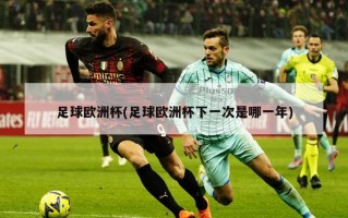 足球欧洲杯(足球欧洲杯下一次是哪一年)