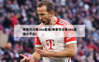 哪里可以看nba直播(哪里可以看nba直播小平台)