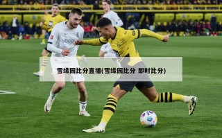 雪缘园比分直播(雪缘园比分 即时比分)