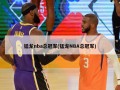 猛龙nba总冠军(猛龙NBA总冠军)