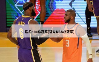 猛龙nba总冠军(猛龙NBA总冠军)
