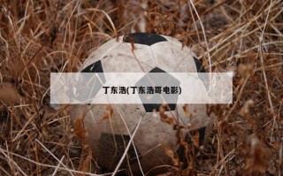 丁东浩(丁东浩哥电影)