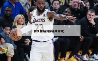 博伊金斯(博伊金斯集锦)