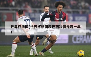 世界杯法国(世界杯法国和巴西决赛是哪一年)