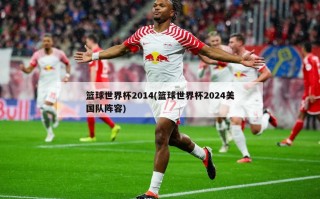 篮球世界杯2014(篮球世界杯2024美国队阵容)