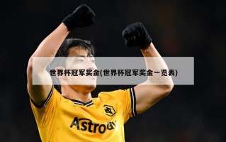 世界杯冠军奖金(世界杯冠军奖金一览表)