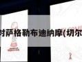 切尔西对萨格勒布迪纳摩(切尔西萨尔)